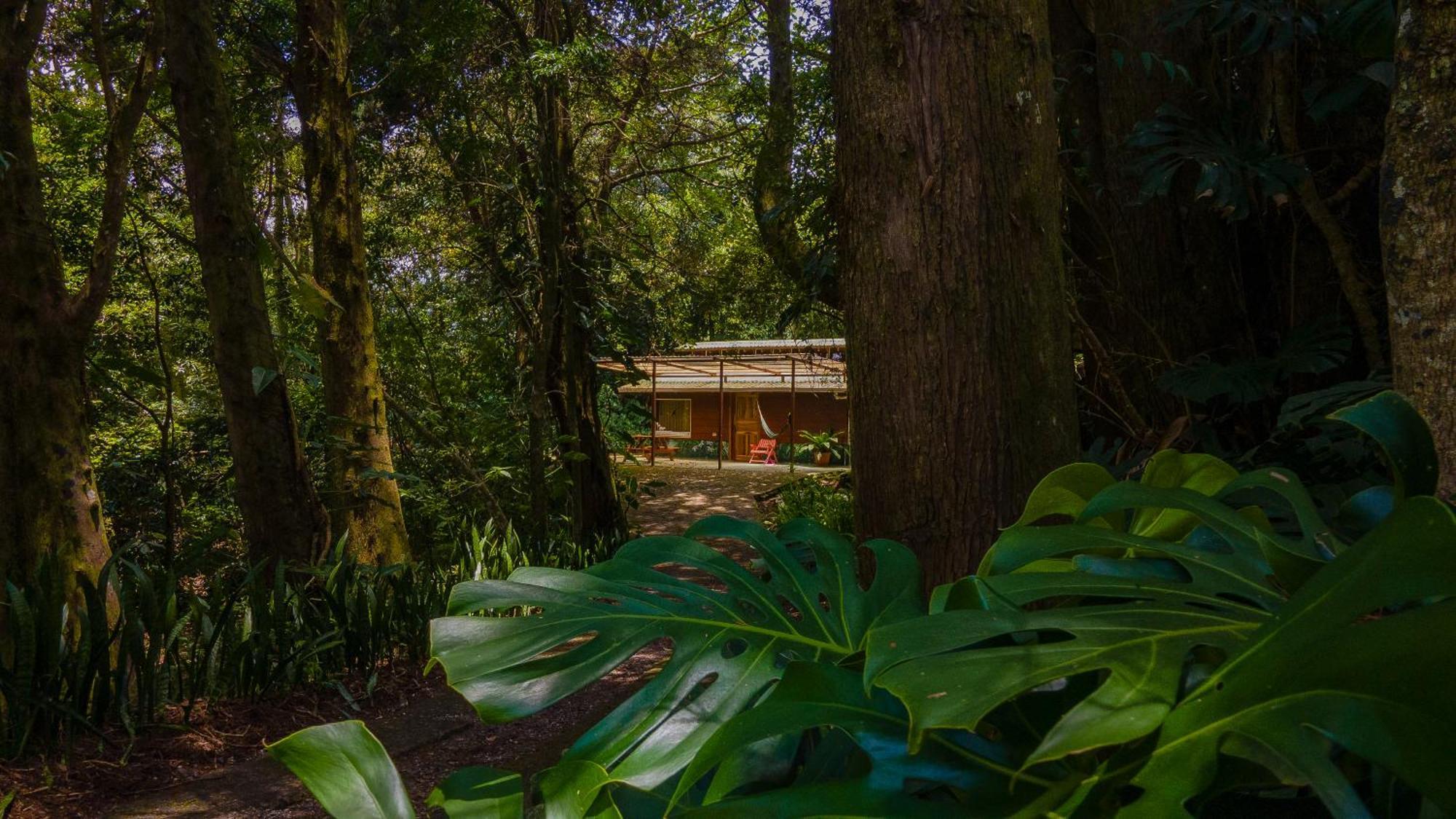 Los Pinos Cabins & Reserve Monteverde Exterior foto